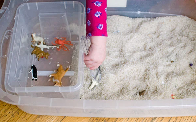 Animal Rescue Bin