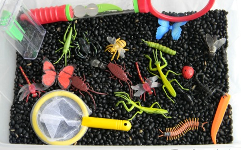 Bug Hunt Dig Bin