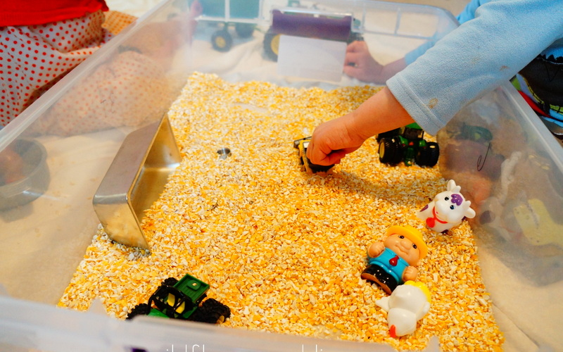 Corn Meal Bin