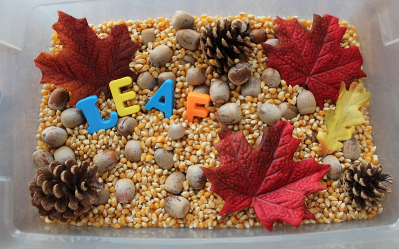 Leaves Bin