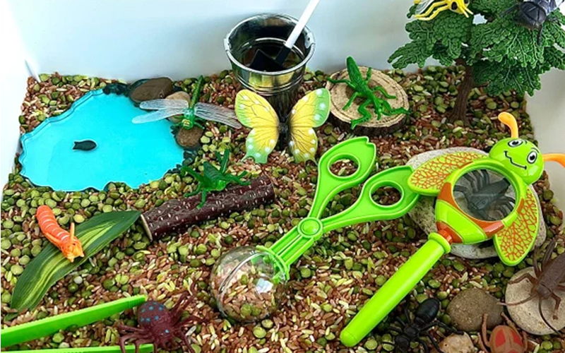 Magnifying Glass Bin