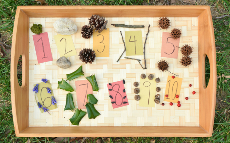 Nature Discovery Tray