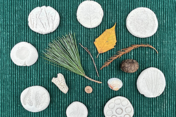 spring art activities for preschoolers Nature Texture Rubbing