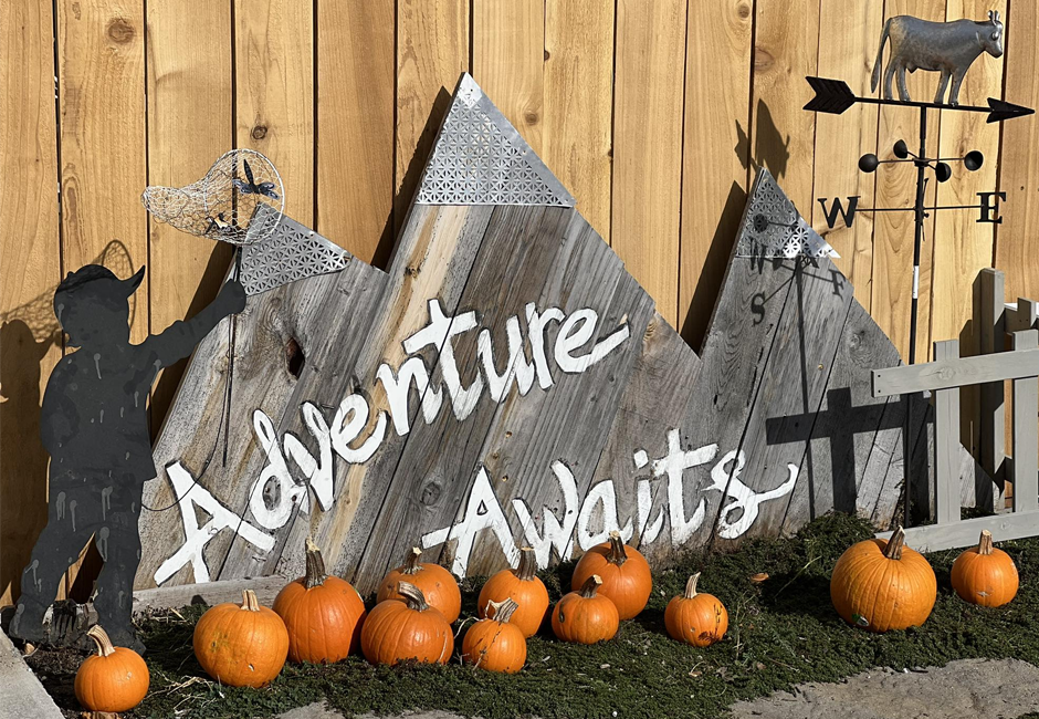 Adventure Awaits